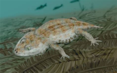 amphibians carboniferous period
